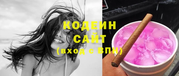 гашик Инта