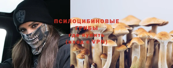 гашик Инта