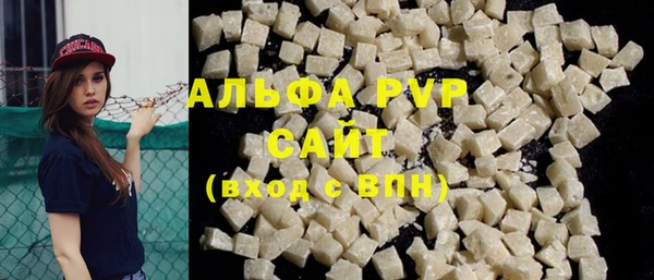 гашик Инта