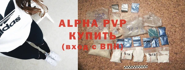 гашик Инта