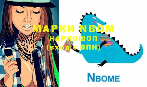 гашик Инта