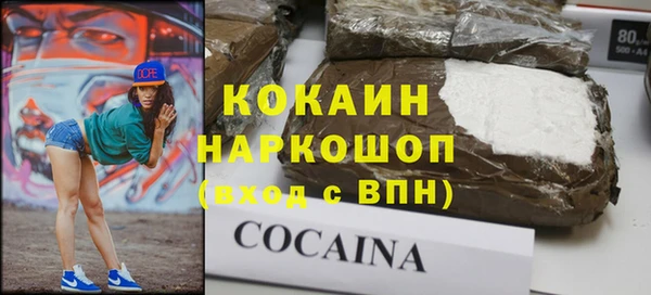 гашик Инта