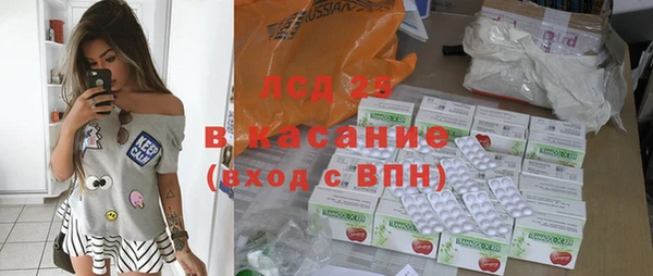 гашик Инта