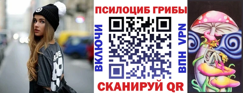 Купить где  Киренск  Галлюциногенные грибы Magic Shrooms 